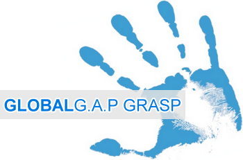 GLOBALGRASP-protypon